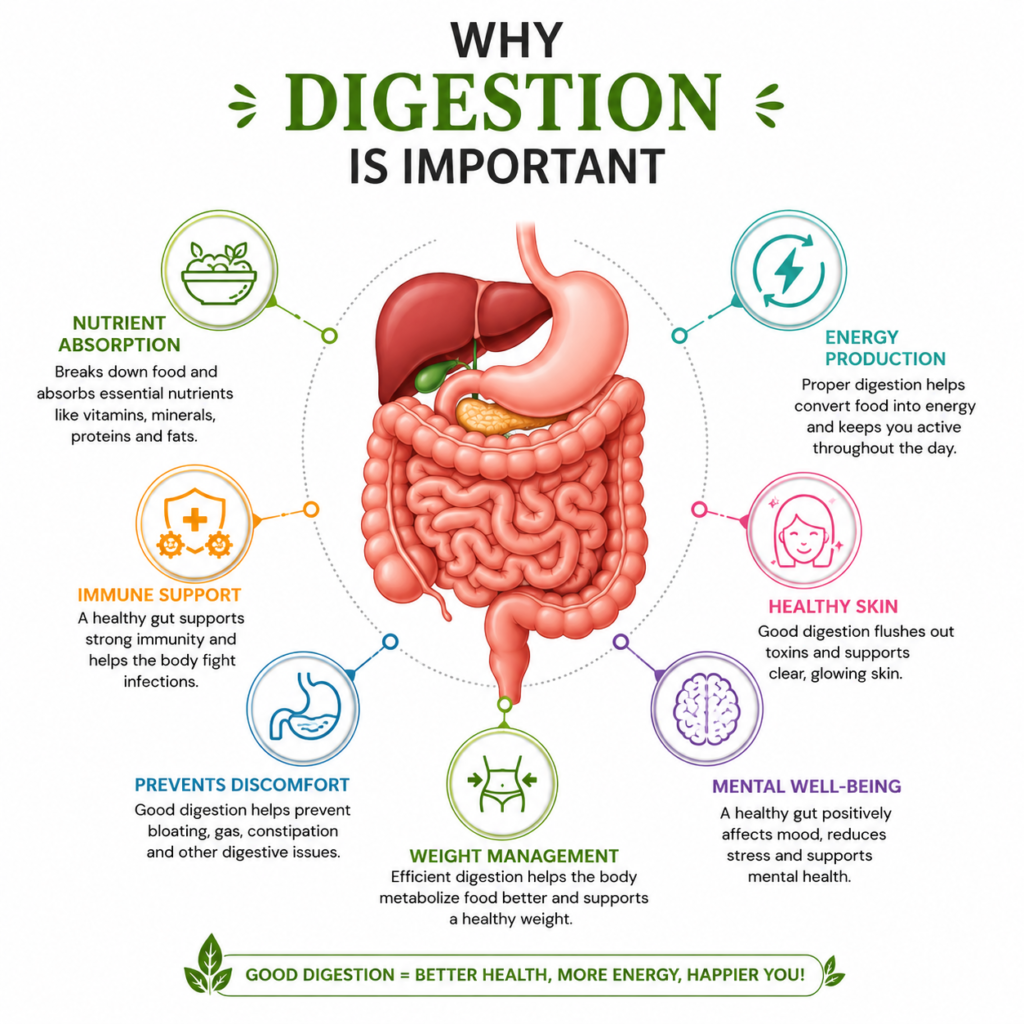 Why digestion is important?
